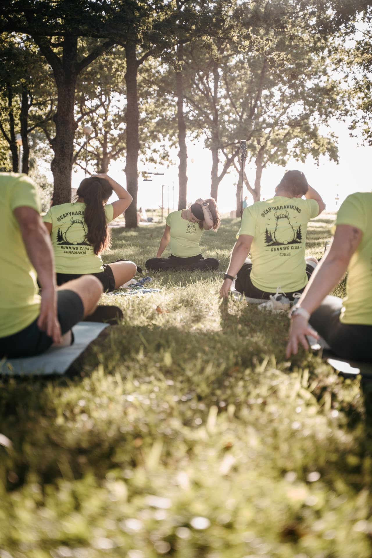 Group stretching together under the trees in evening light